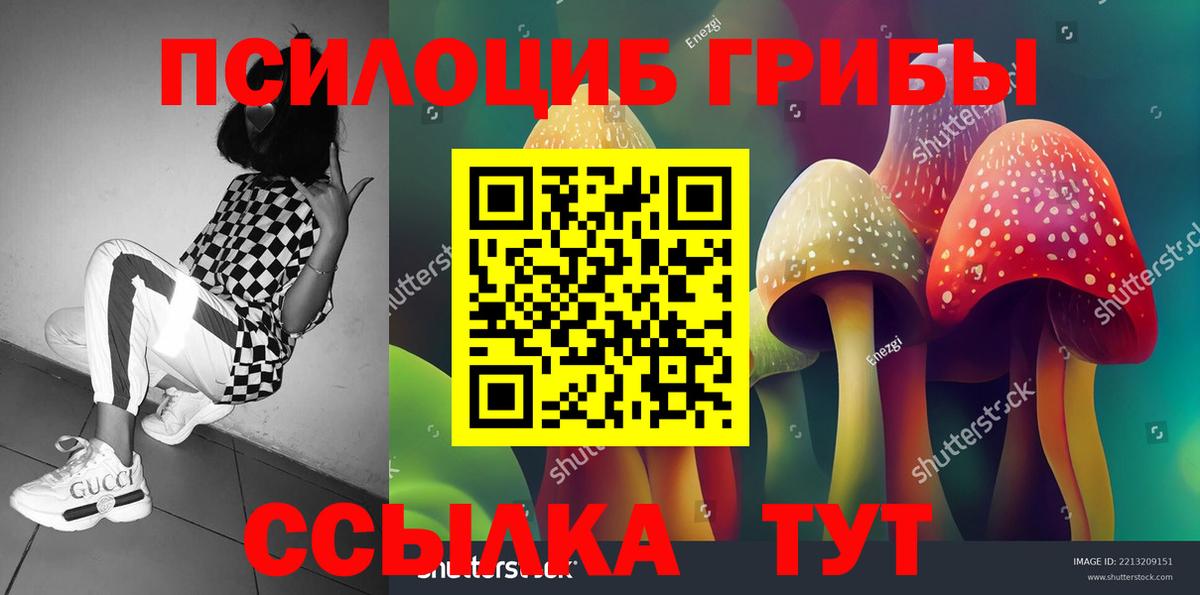 Галлюциногенные грибы Psilocybe  Псилоцибиновые грибы MAGIC MUSHROOMS  Вход с VPN  Кандалакша 